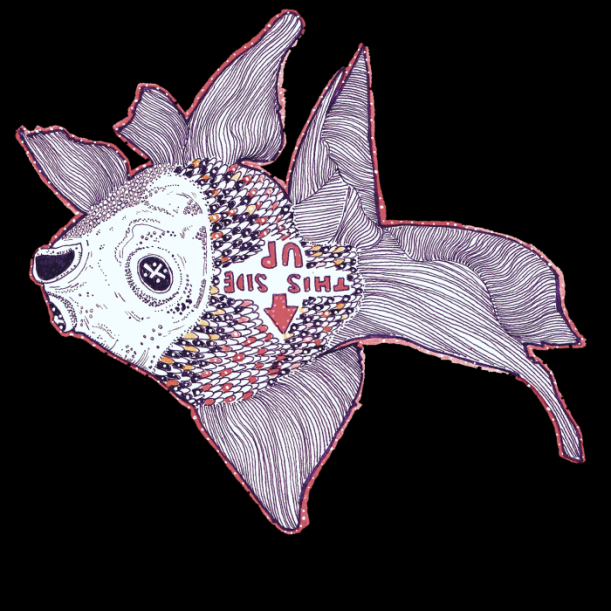 COVER-IMAGE1